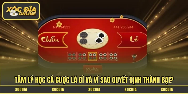 Tâm lý học cá cược là gì và vì sao quyết định thành bại?